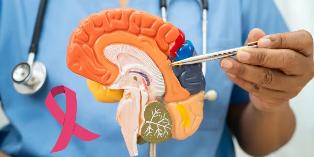 Brain cancer awareness for women